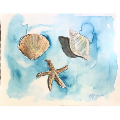 Seashells — Original Watercolor Painting by Marina Stognieva | Crimea